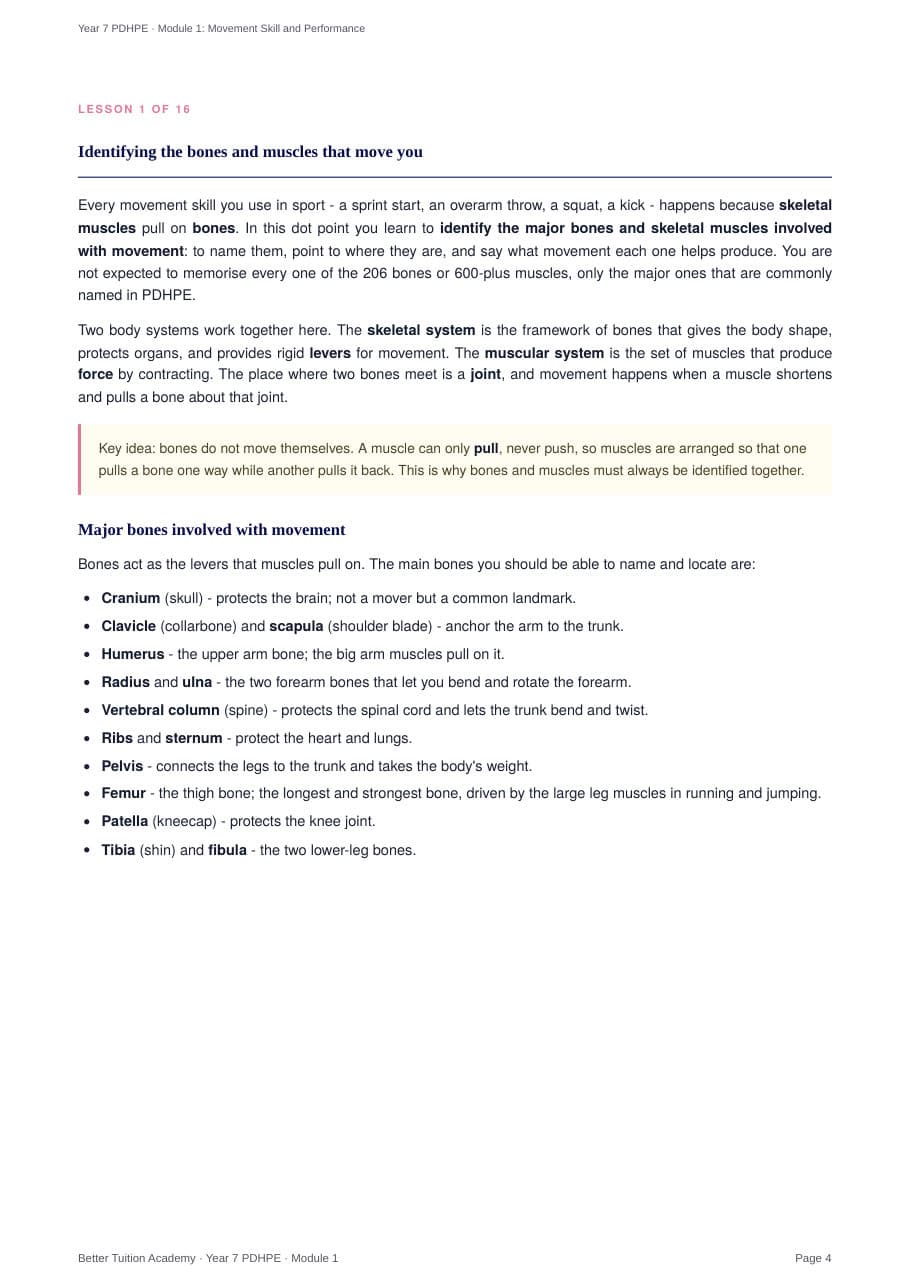 Sample page 3 of the Movement Skill and Performance study guide