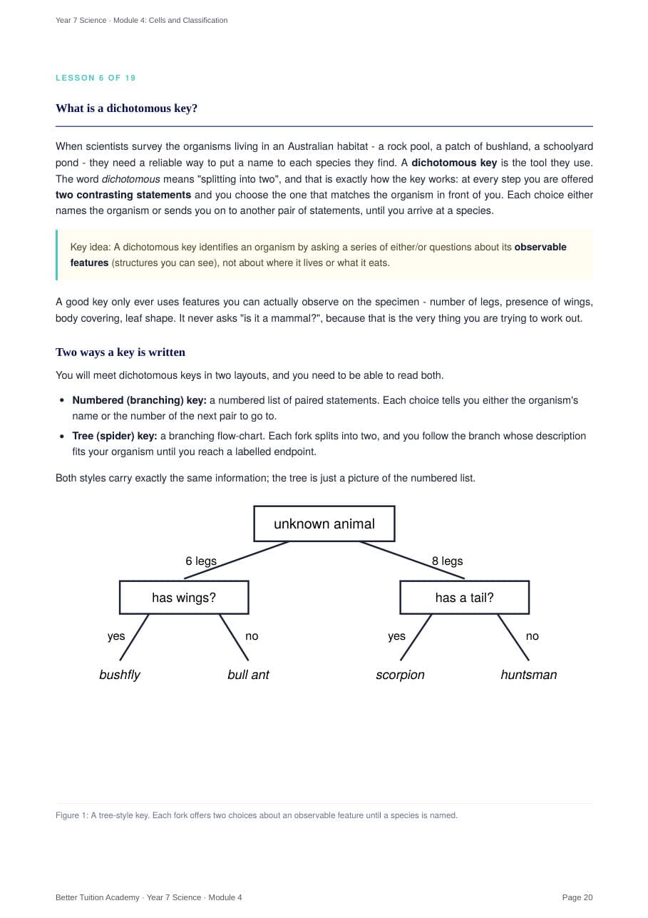 Sample page 6 of the Cells and Classification study guide