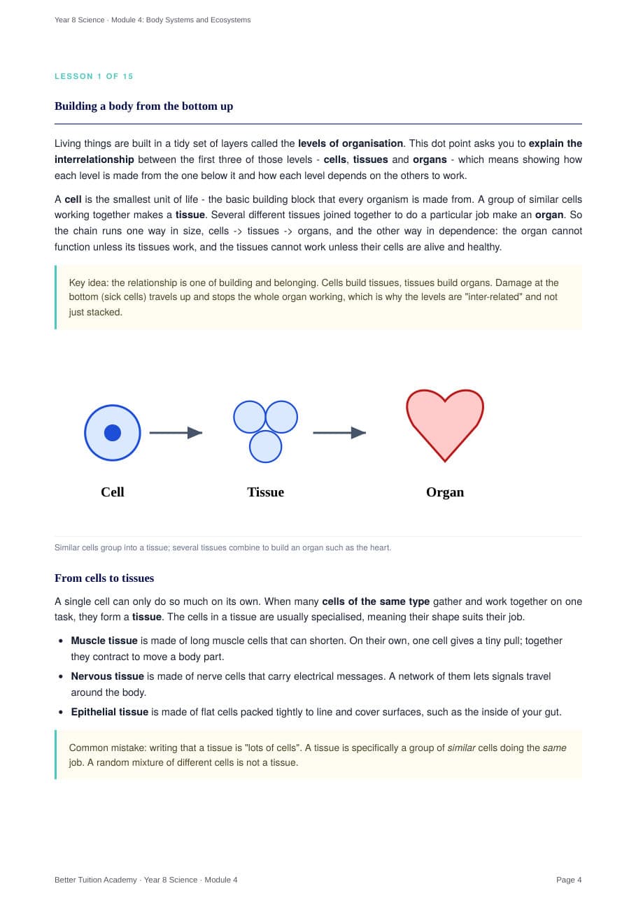 Sample page 3 of the Body Systems and Ecosystems study guide