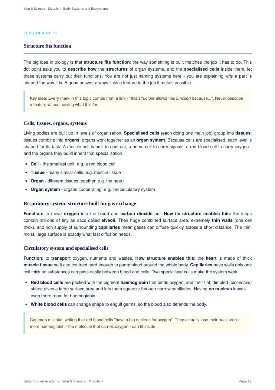 Sample page 5 of the Body Systems and Ecosystems study guide