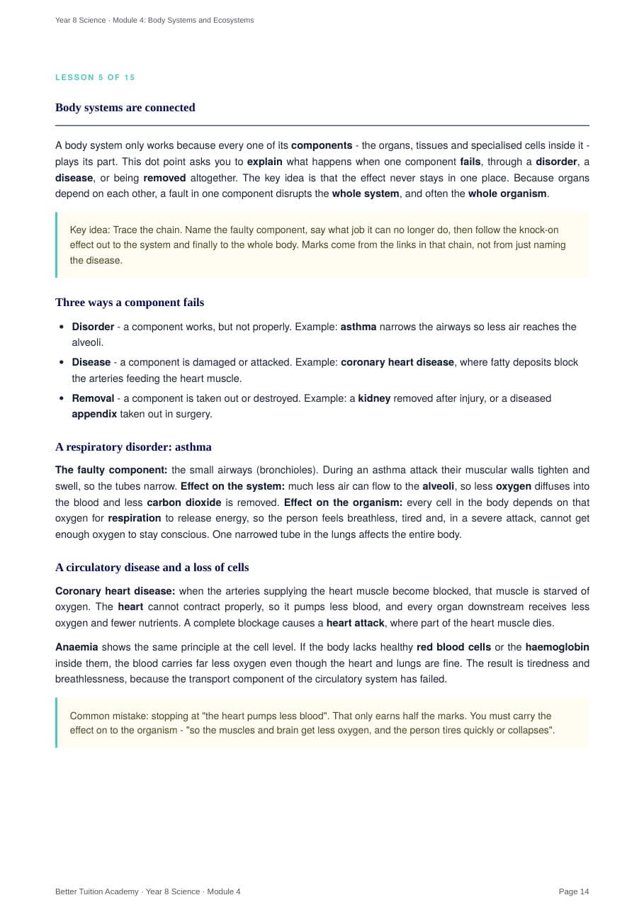 Sample page 6 of the Body Systems and Ecosystems study guide