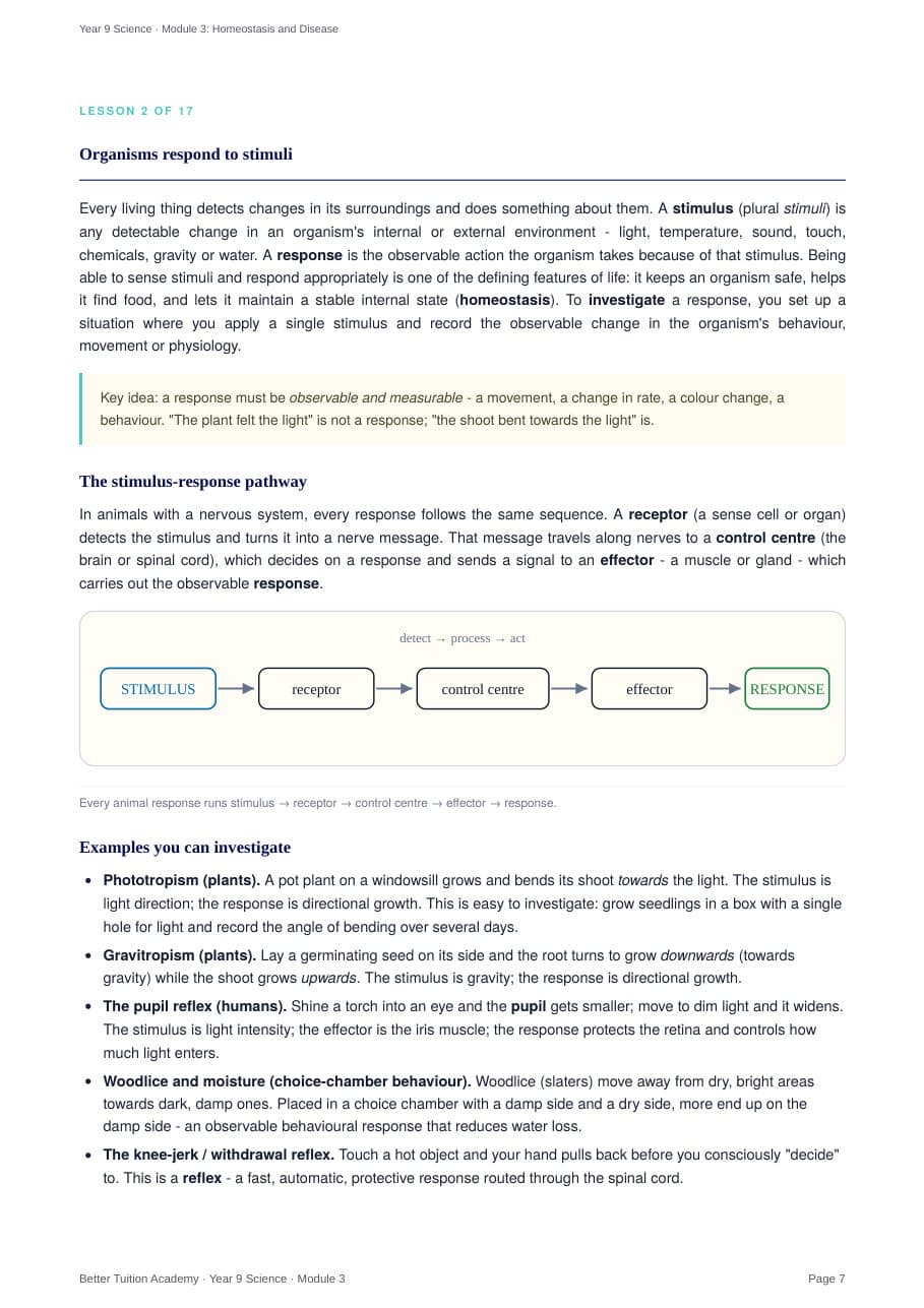 Sample page 4 of the Homeostasis and Disease study guide