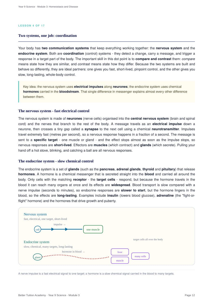 Sample page 5 of the Homeostasis and Disease study guide